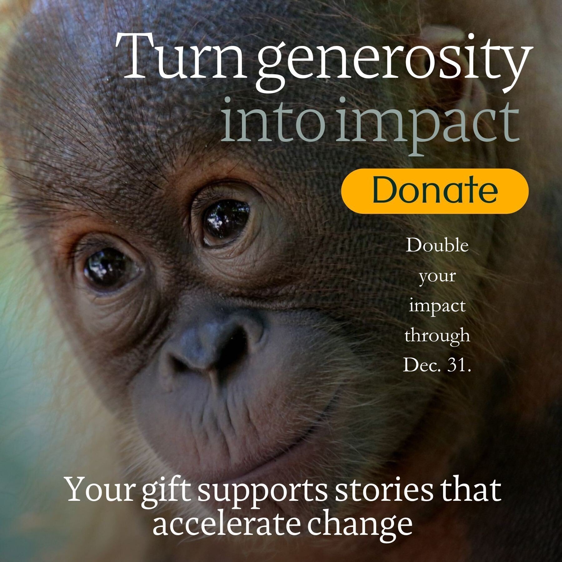 Dev_YE Campaign 2025 Website CTA_vers 2